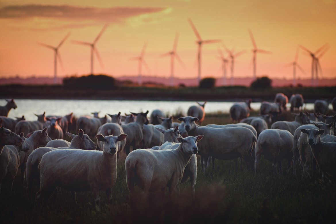 Wind Energy Research Platform - Natura 2000 Network